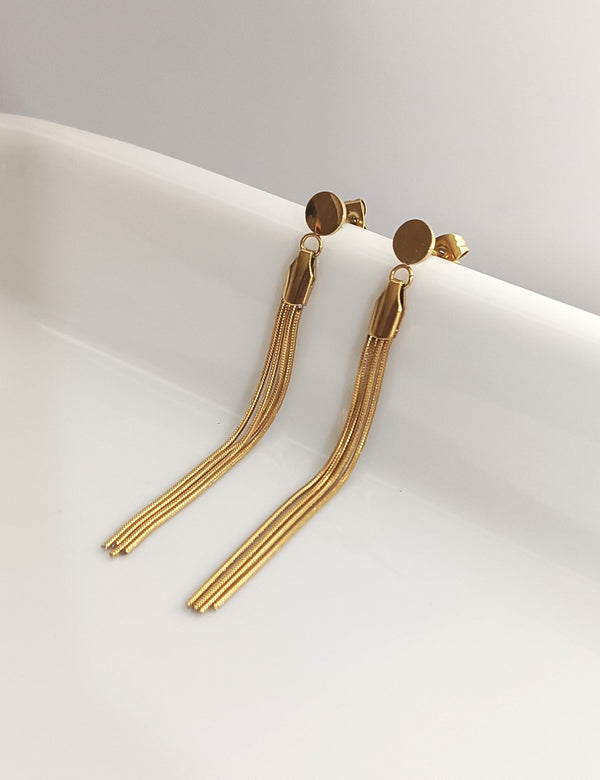 Stunning Long Stainless Earrings