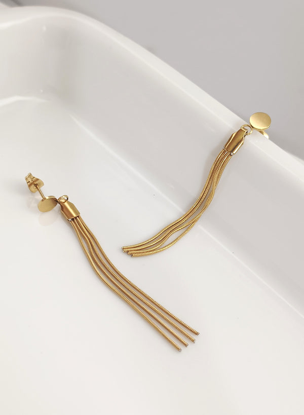 Stunning Long Stainless Earrings