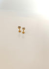 Heart Studded Ear Stud and Nose Pin | Titanium Steel