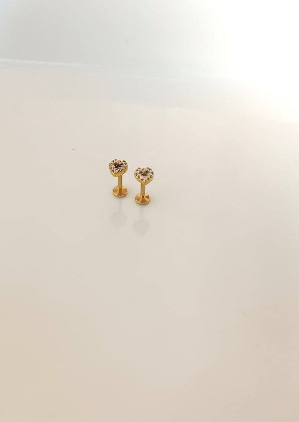 Heart Studded Ear Stud and Nose Pin | Titanium Steel