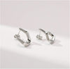 Irregular Stainless Steel Silver Earrings | Water Proof