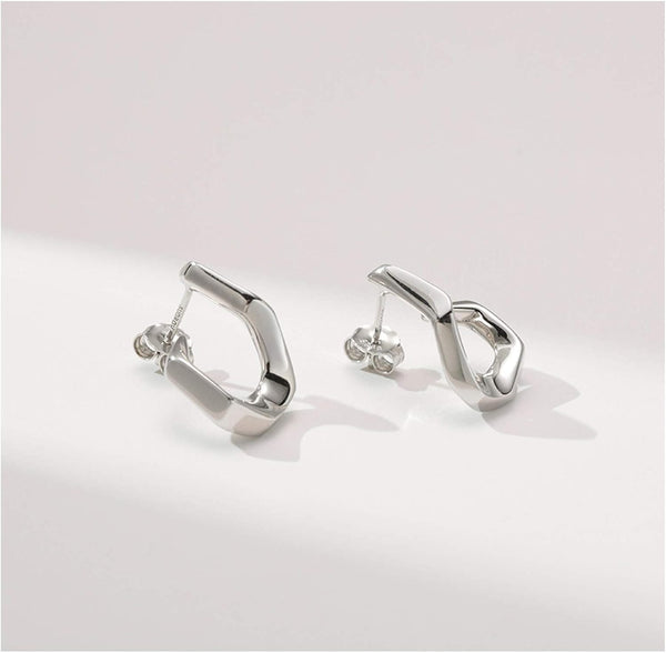 Irregular Stainless Steel Silver Earrings | Water Proof