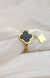 Stainless Steel Double Clover Ring