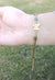 Stunning Stainless Steel Butterfly Snake Chain Bracelet