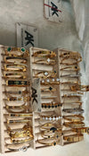 18K Gold Plated Stainless Steel Roman Cubic Zirconia Bangle