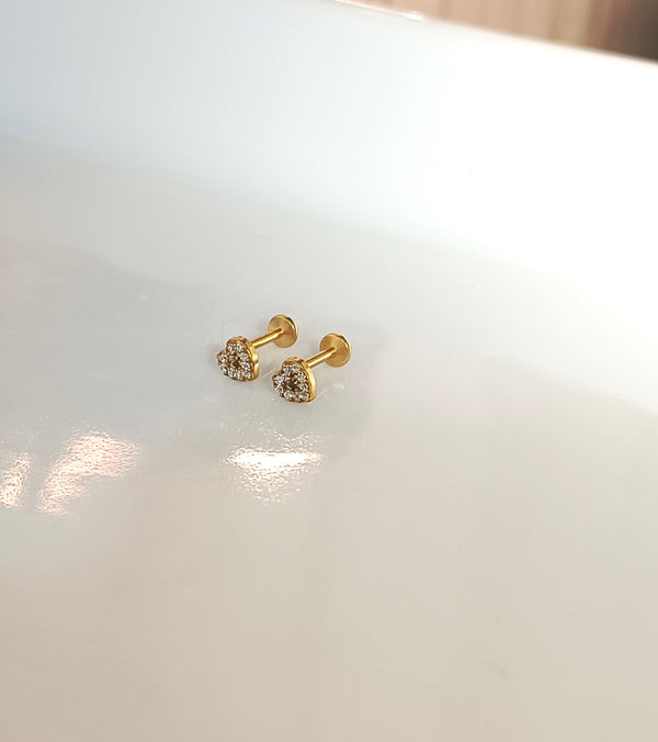 Heart Studded Ear Stud and Nose Pin | Titanium Steel