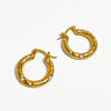 Gol Plated Water Proof Zirconia Earring | Premium Quality