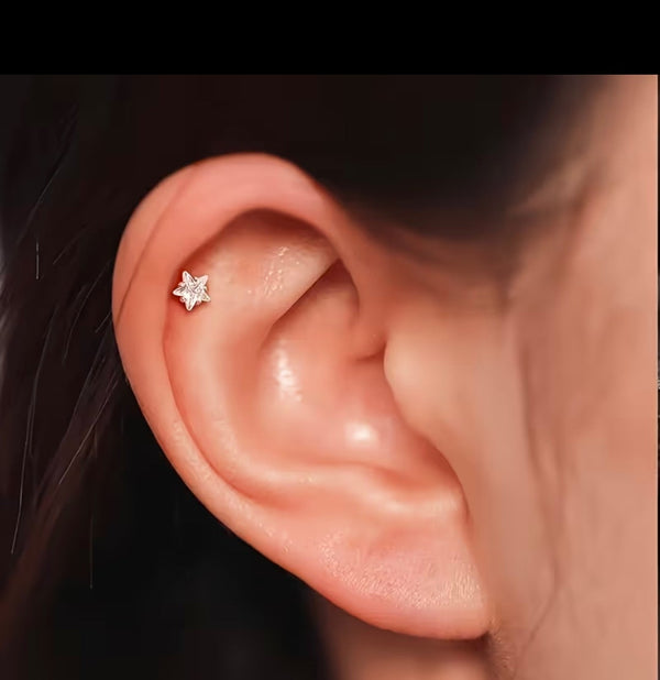 Star Ear Stud and Nose Pin
