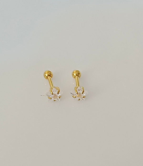 Star Ear Stud and Nose Pin