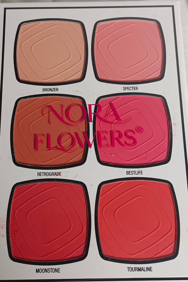 NORA FLOWER 6 in 1 Makeup Palette Book (High Quality)