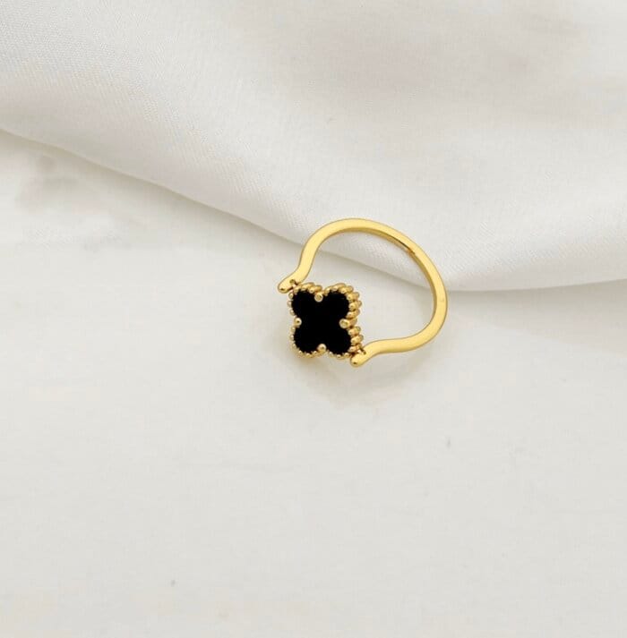 Classic Stainless Steel Double Sided Black Clover Ring